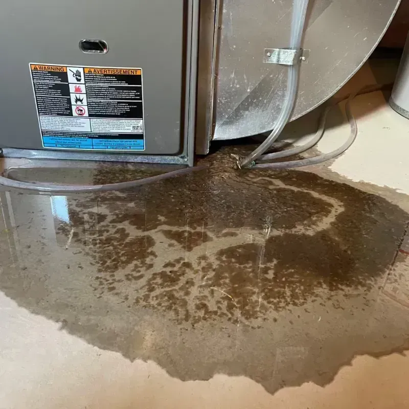 Appliance Leak Cleanup in Mount Vernon, MO